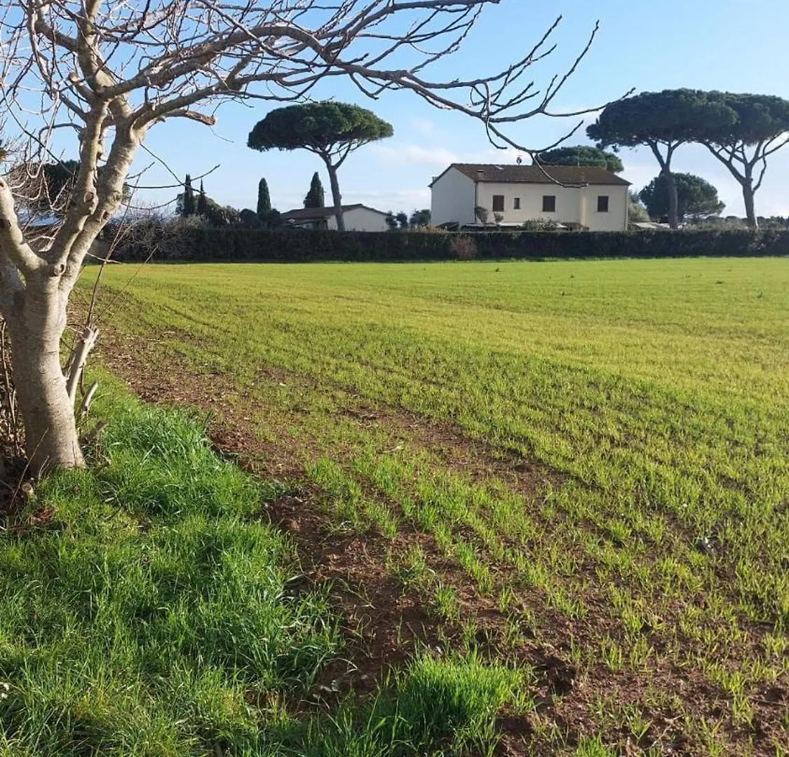 Apartment Oleandro Cottage With Garden La Cinquantina